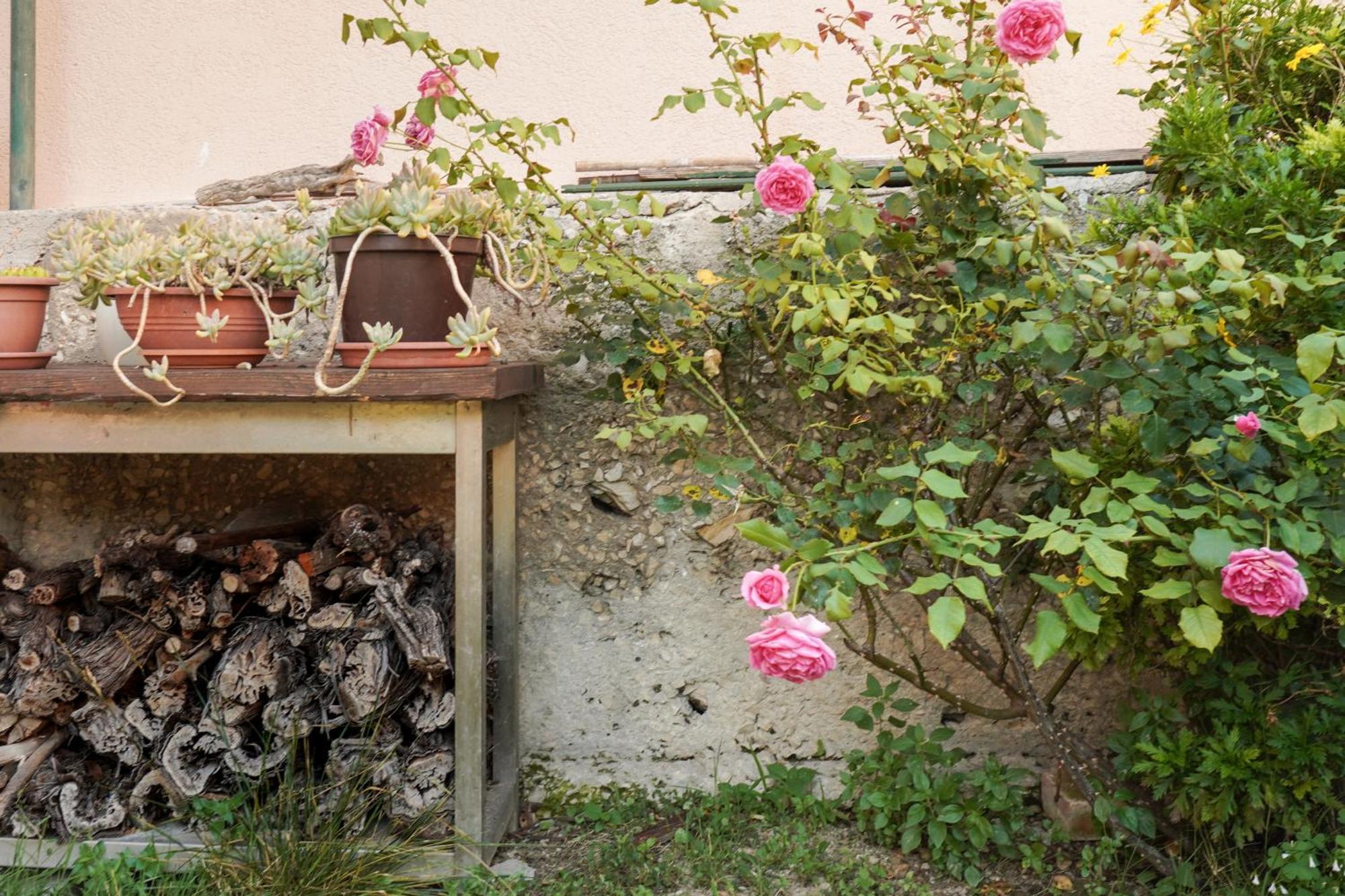 Tranquil Urban Escape Appartement Split Buitenkant foto